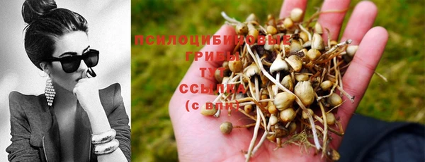 первитин Алзамай