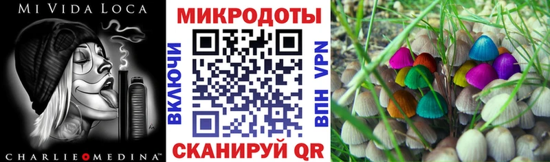 дарнет шоп  Беломорск  Галлюциногенные грибы MAGIC MUSHROOMS 